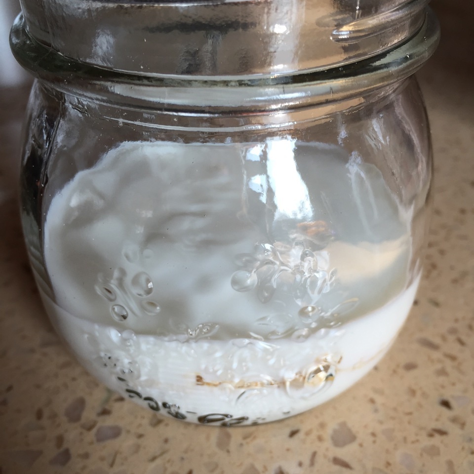 酸奶杯（yogurt parfait）的做法 步骤4