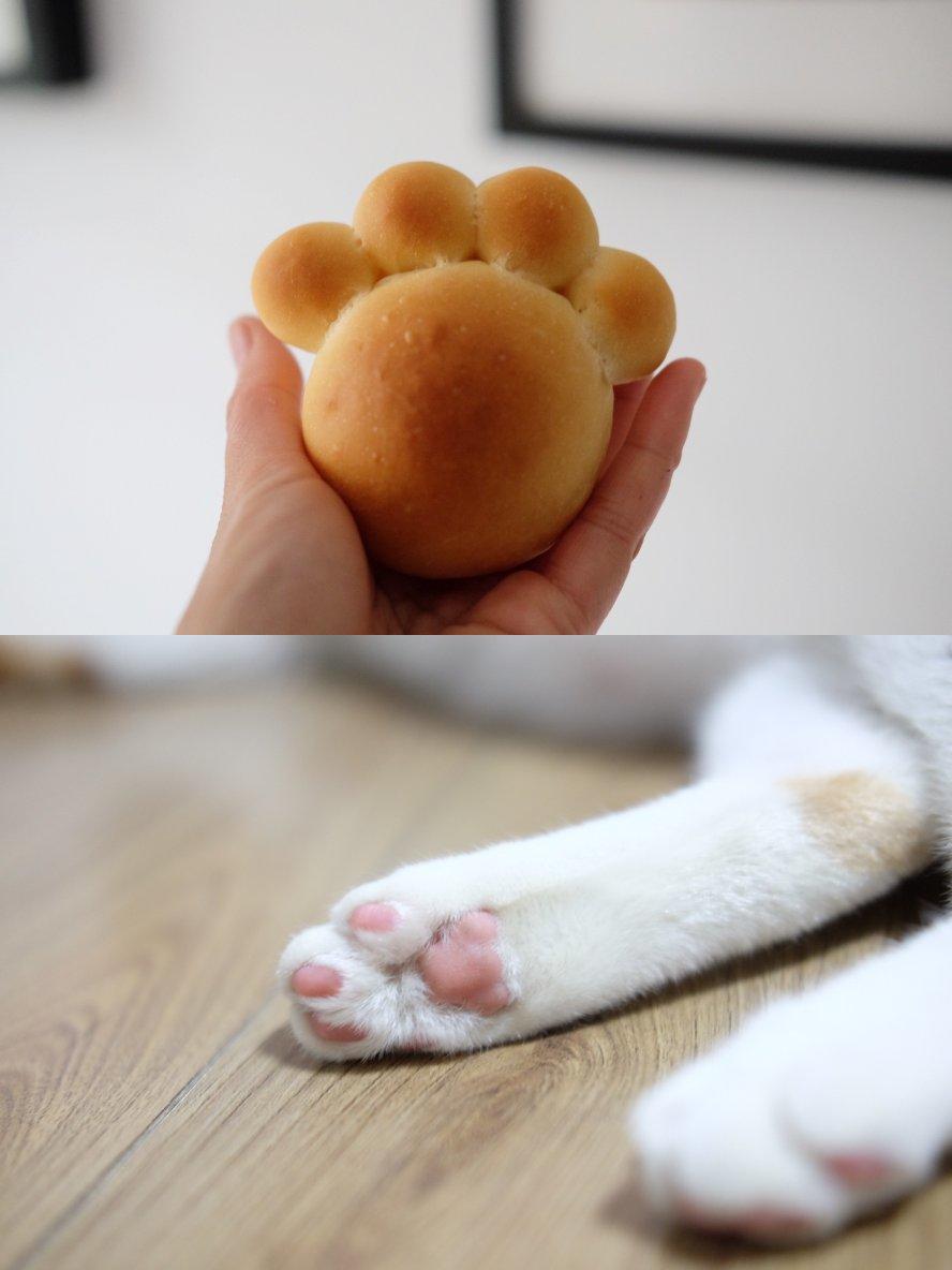 小绿牌猫爪面包 “爪爪知道”(快乐可爱小餐包)