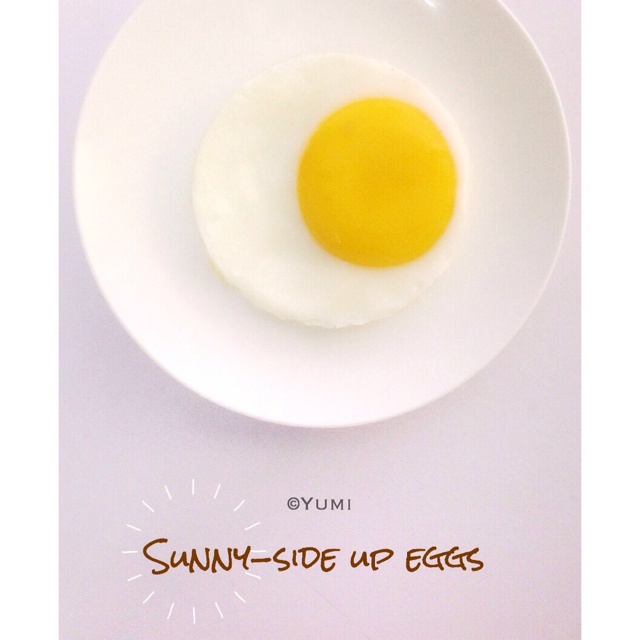 【熊记】太阳蛋