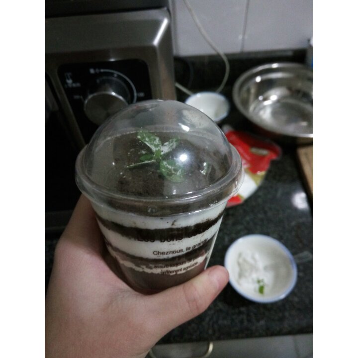 奥利奥酸奶盆栽
