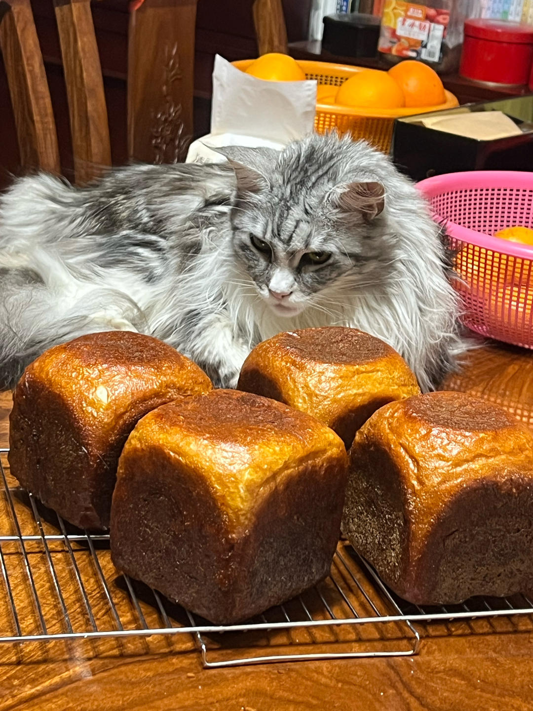 碱水吐司🍞