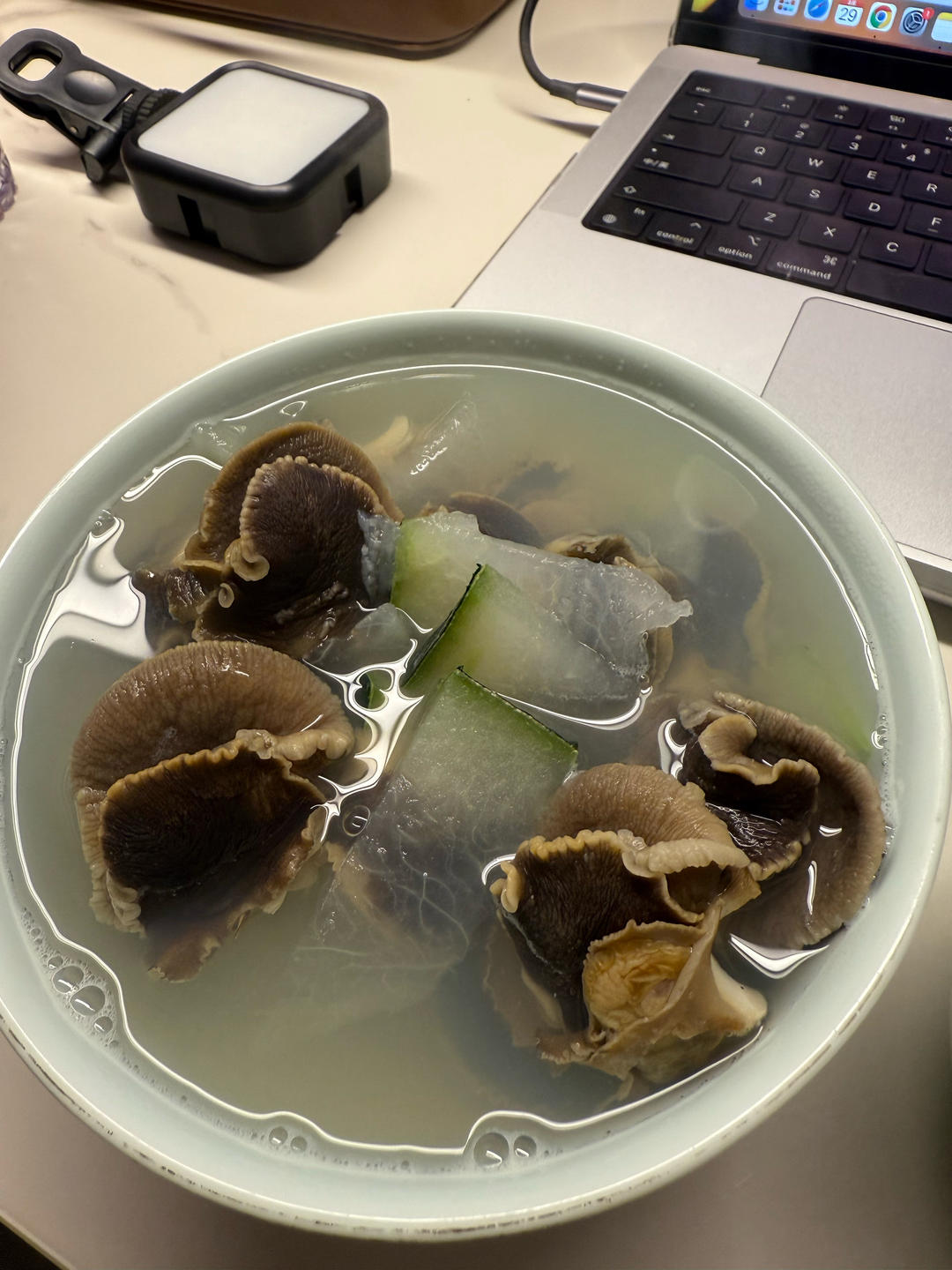 没有一滴油的快手冬瓜海螺汤