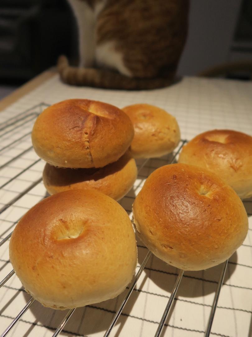 可以捏着玩的贝果🥯Squishy Bagels