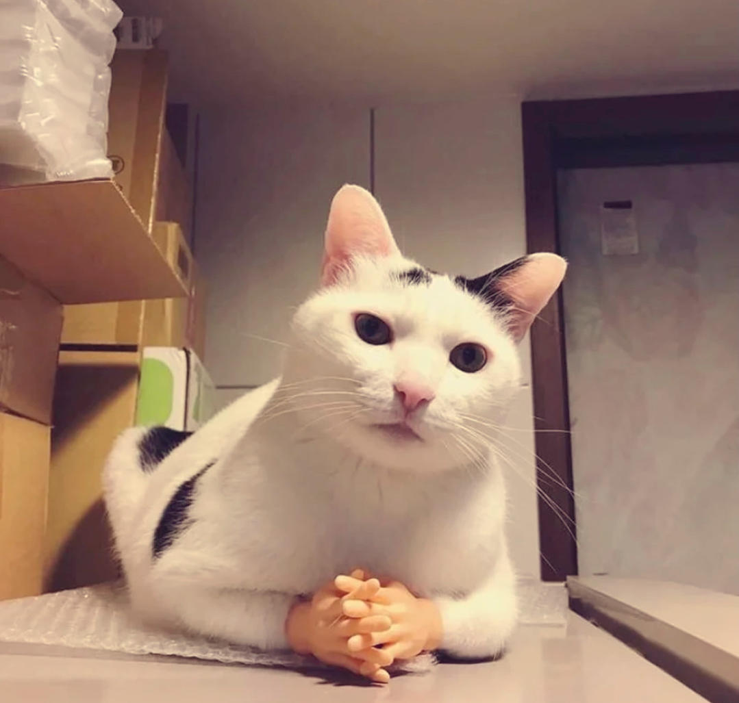 香港小通