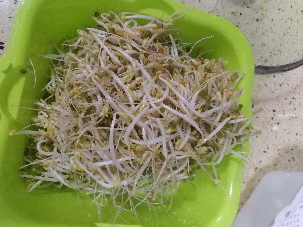 沥水篮发豆芽