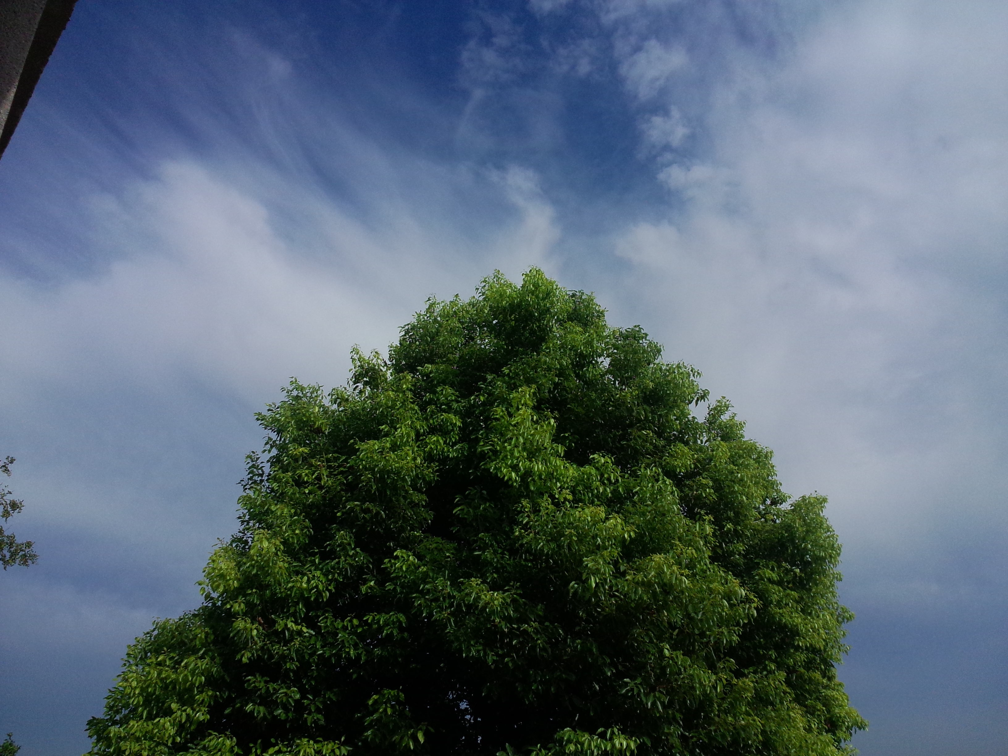 不可辜负的美好~~