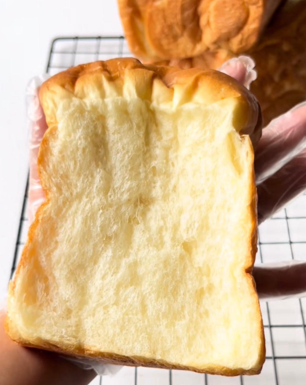 波兰种椰香吐司｜柔软拉丝巨好吃❗️❗️❗️