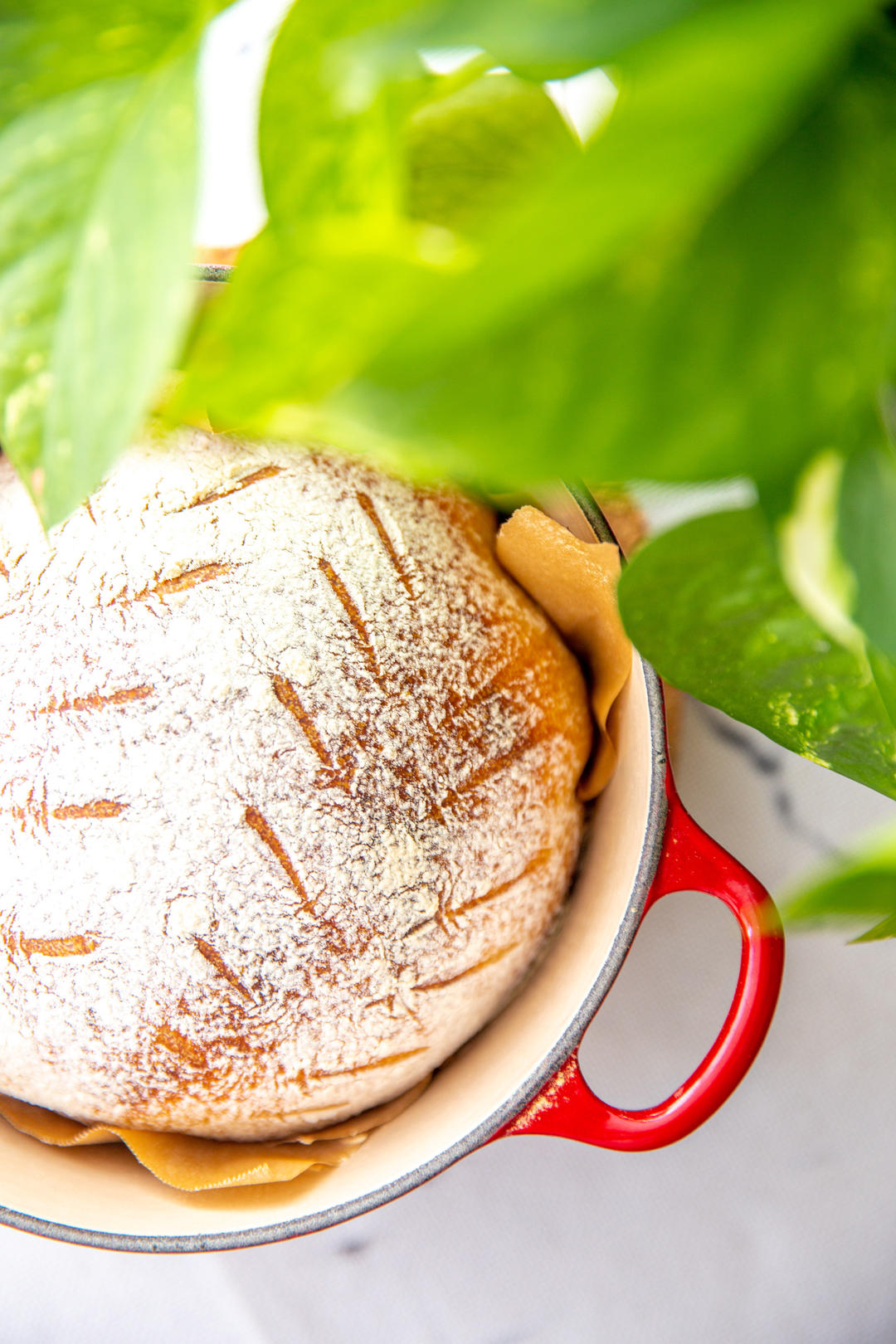基本酸面团面包(Basic Sourdough Bread)