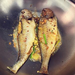 柱侯酱炖黄鱼、红烧黄鱼的做法 步骤6