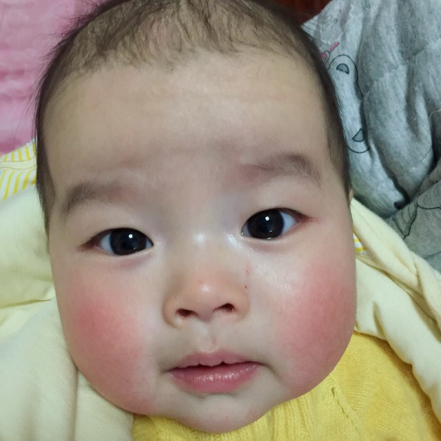 蘑菇君和小冬瓜