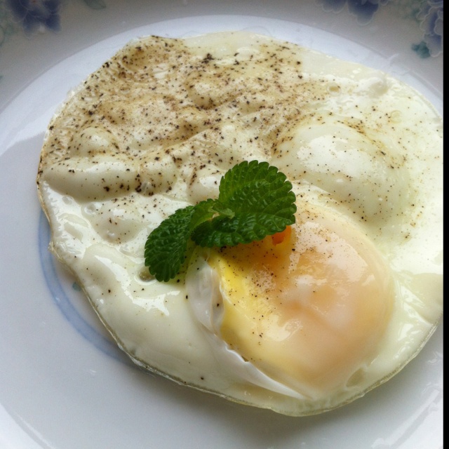 电饭煲 电饭锅煎蛋 猴只做的电饭锅煎蛋                    电饭锅