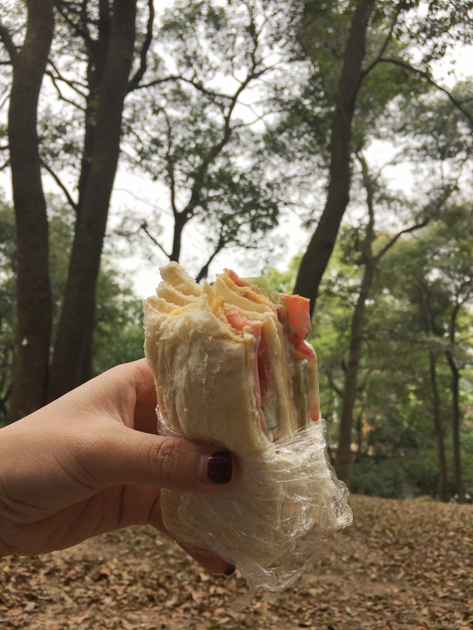 野餐踏青「三明治」🌸🌱