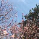 手机用户2538_ahsm