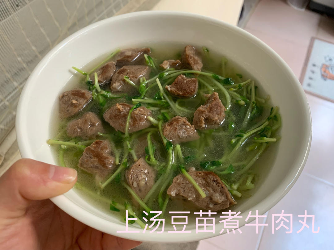 上汤豆苗