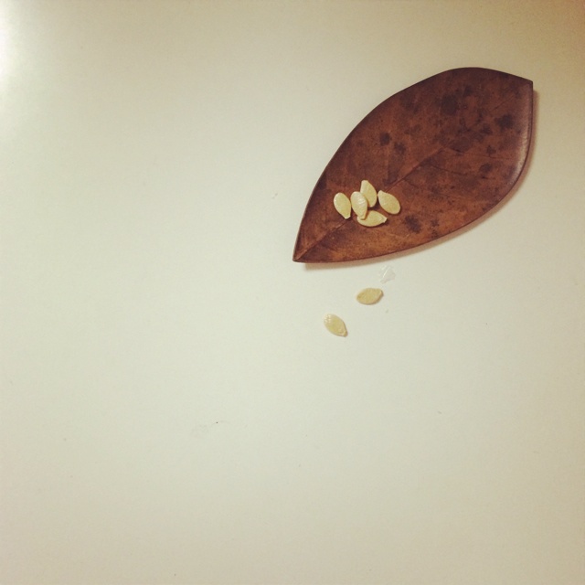 原味炒南瓜子