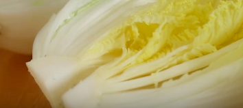 正宗韩式泡菜（传统版）的做法 步骤5