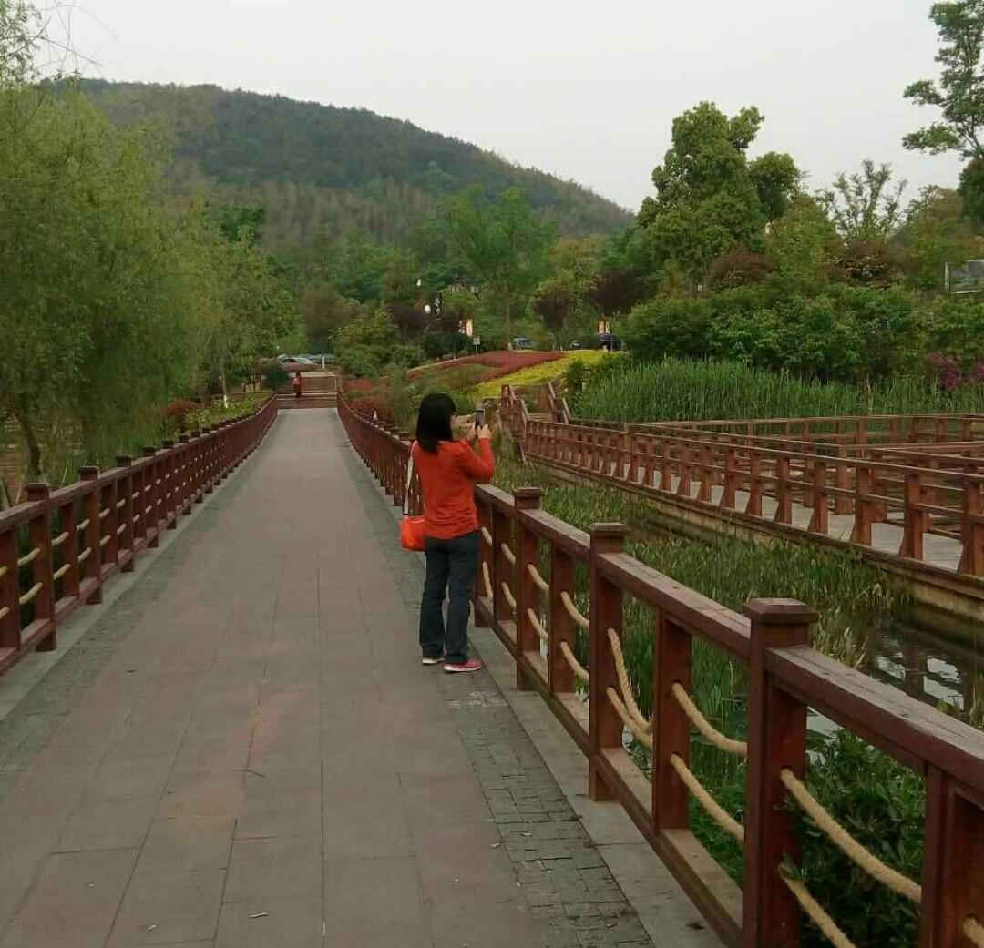 手机用户火玲珑的厨房