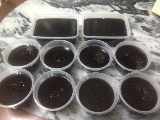 蜜汁龟苓膏