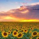 手机用户6835_7dx9