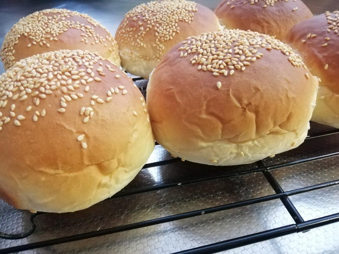 汉堡胚 poolish（波兰种）