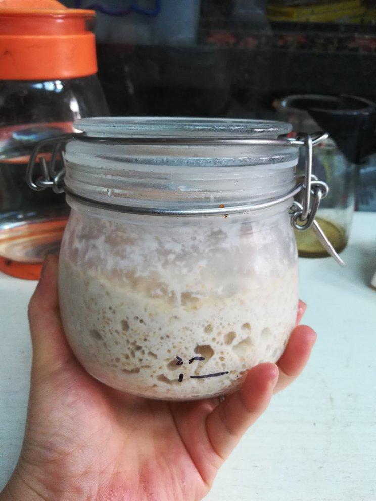 葡萄种酵母培养记录