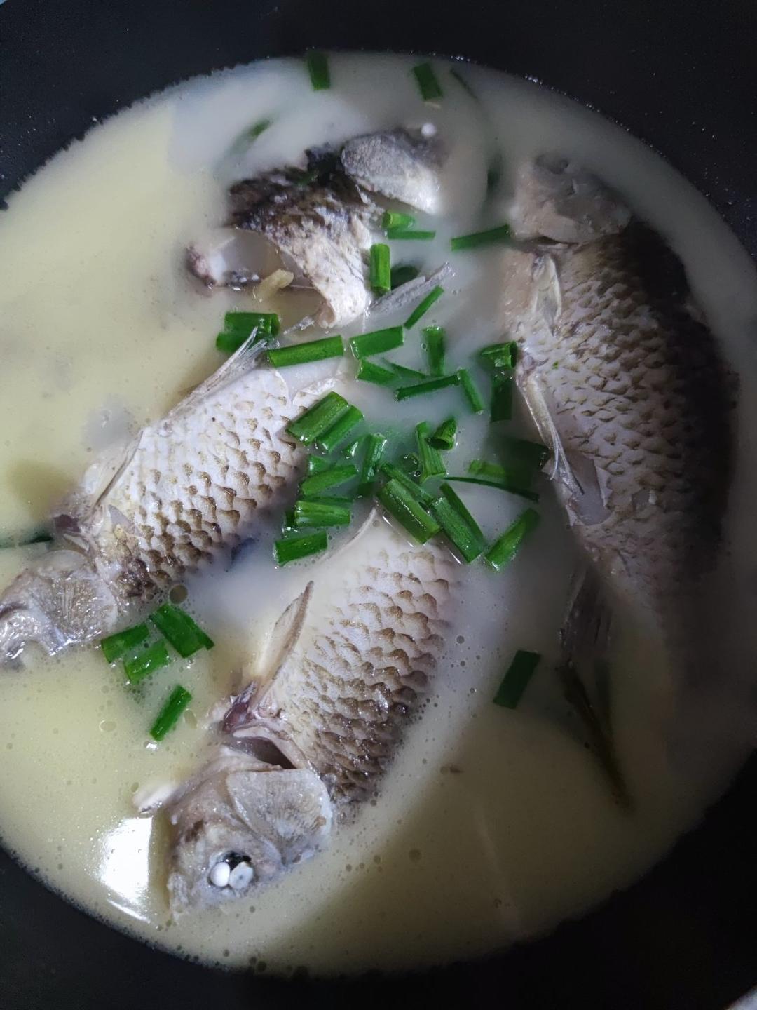 如朝雾做的鲫鱼汤