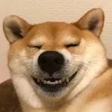 粉毛毛