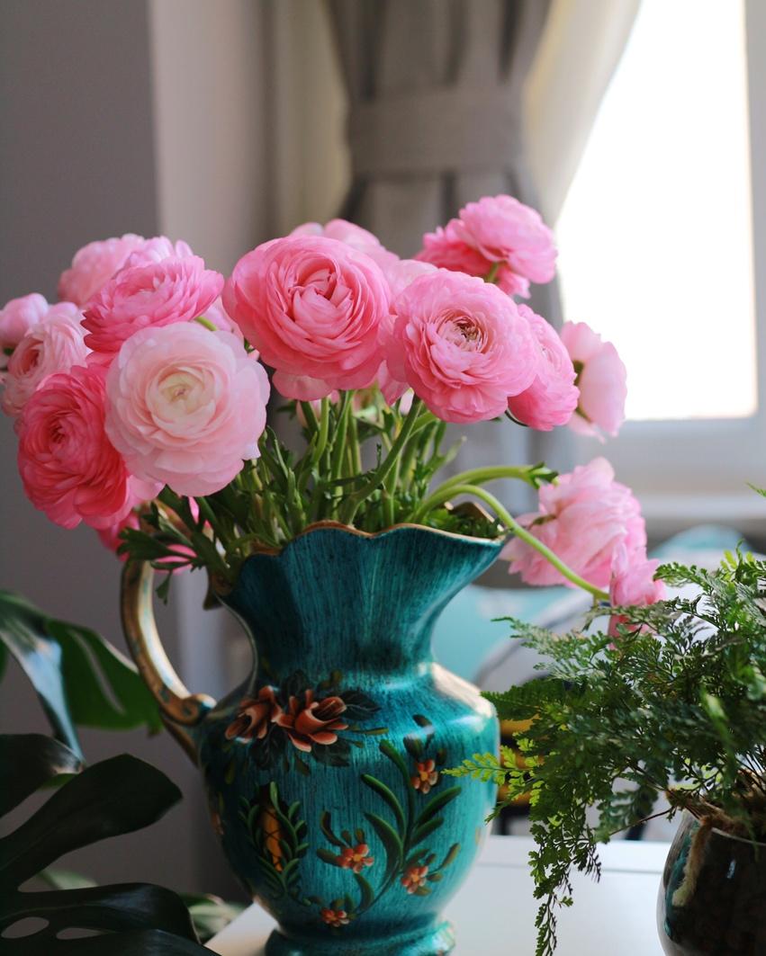 生活中的小确幸……