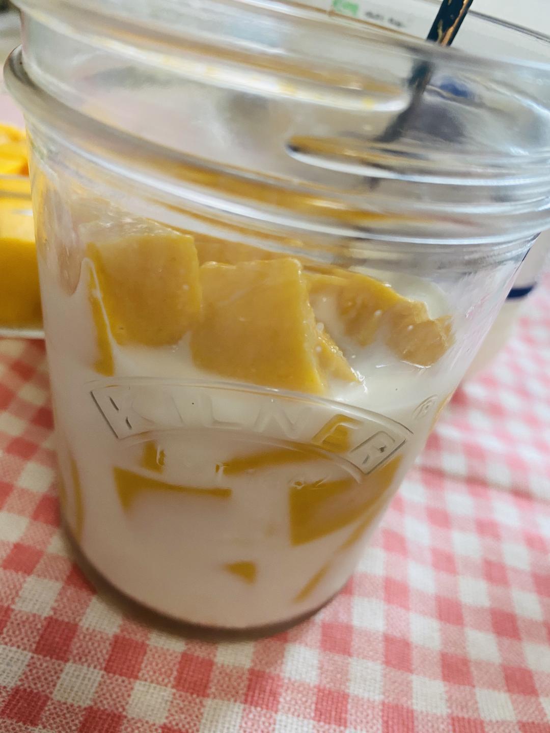 超简单的甜品‼️芒果🥭牛奶芒果冻（白凉粉）的做法