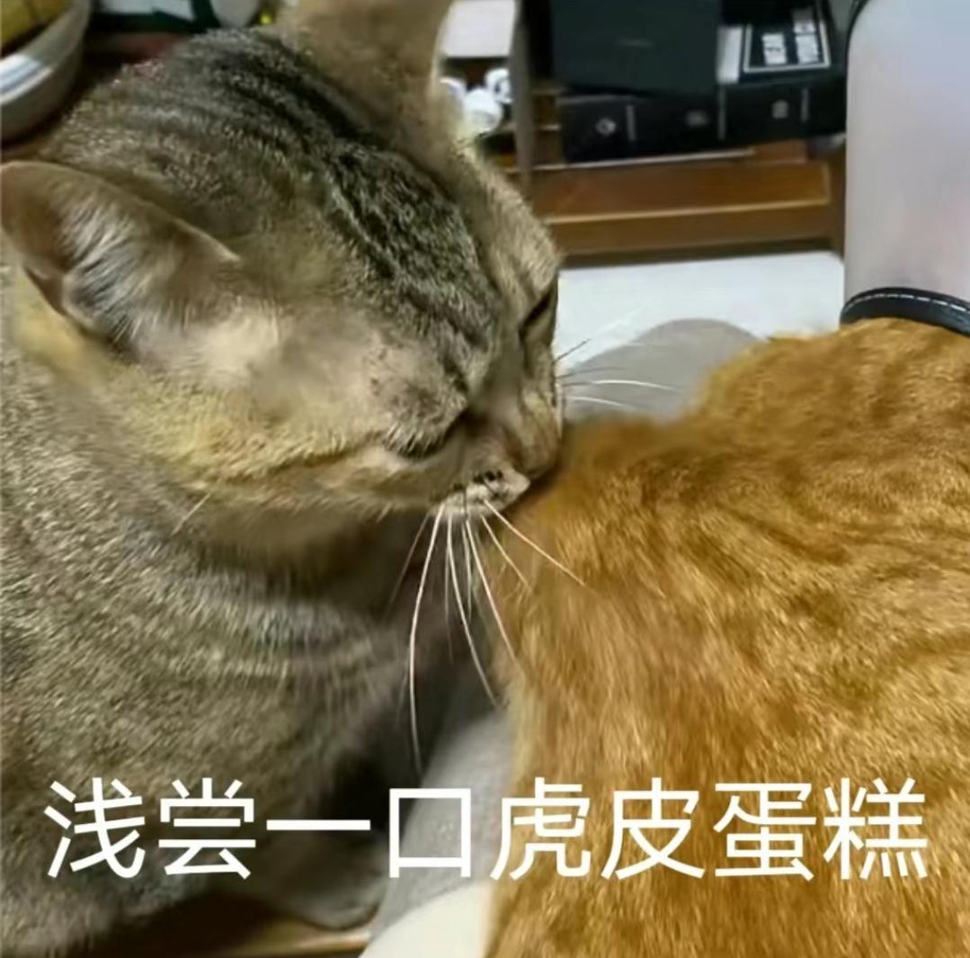 金牌咖喱厨师
