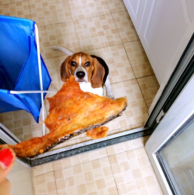 狗狗奖励零食-----烤三文鱼皮