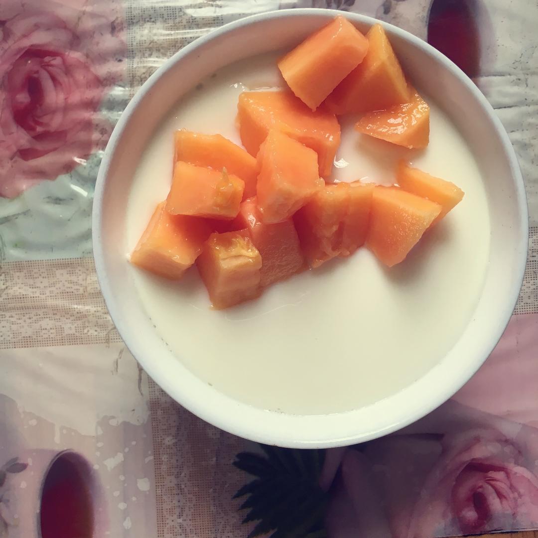 木瓜双皮奶(超级简单版)