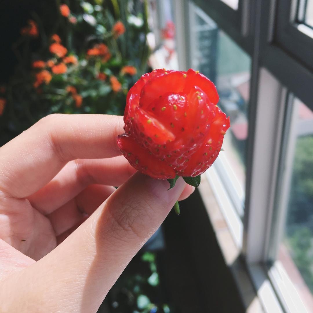 草莓玫瑰花——让草莓一分钟变玫瑰