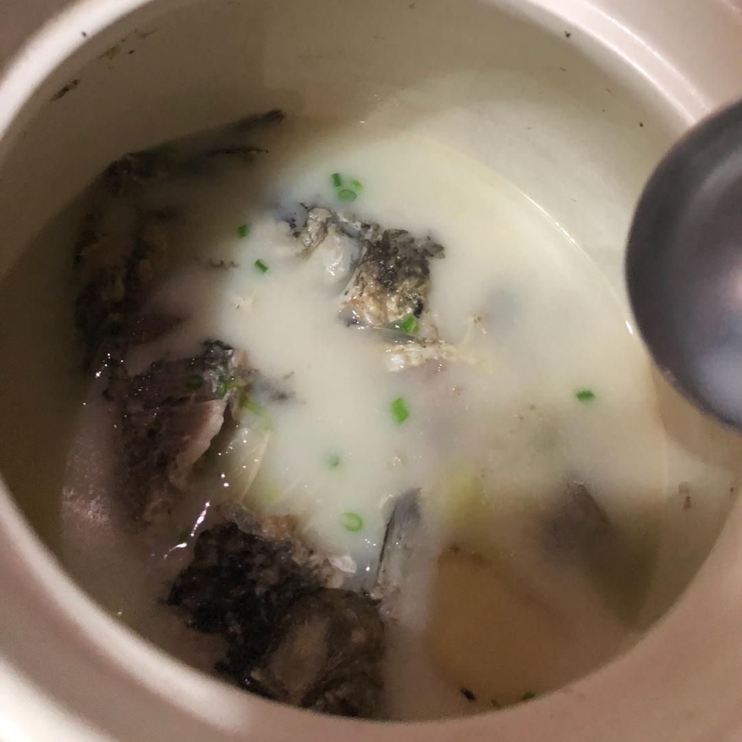 清炖鲫鱼汤 三个关键步骤让你轻松炖出汤浓味鲜色白似奶的鲫鱼汤