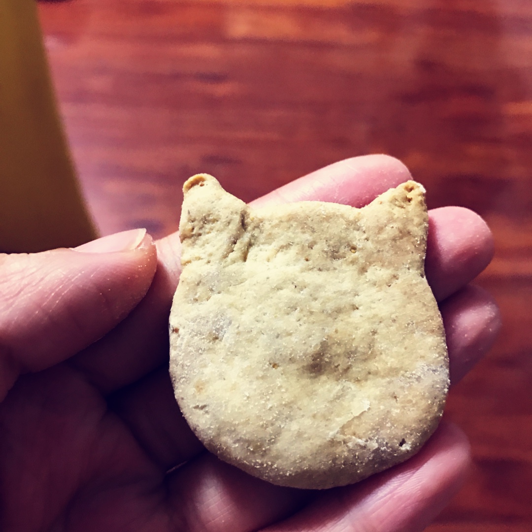 减肥解馋好伴侣——小麦胚芽饼干