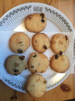 榛子葡萄干黄油曲奇饼干的做法 步骤9