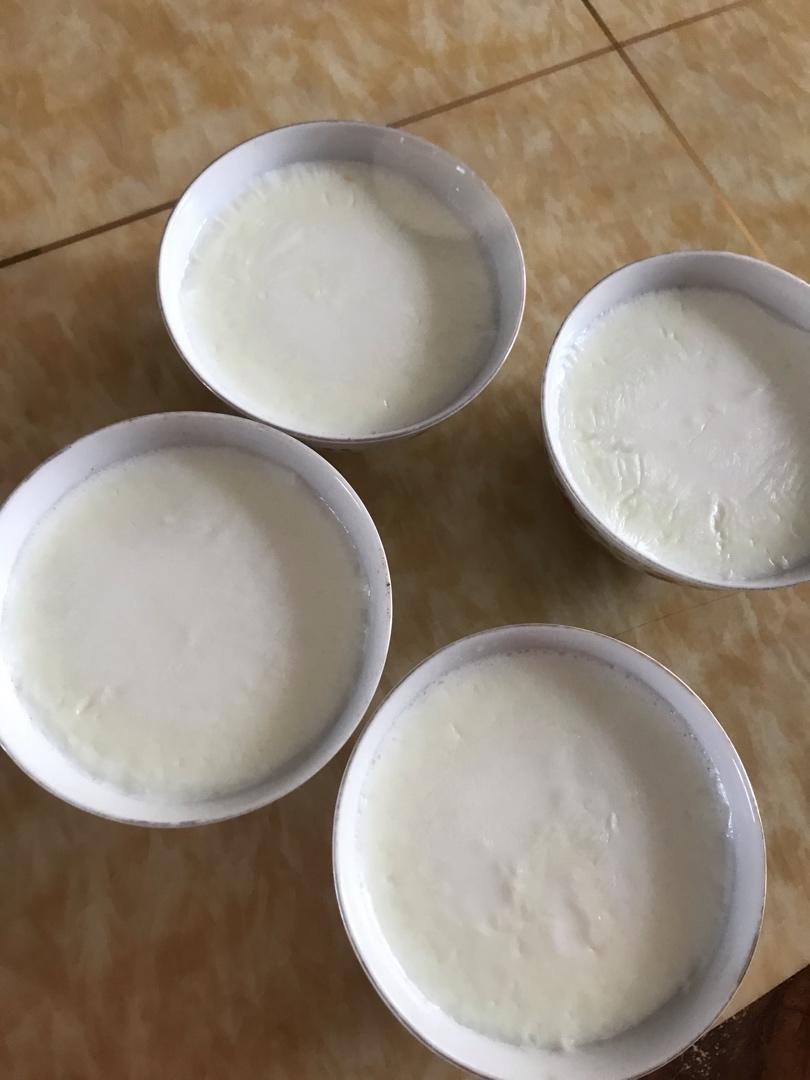 顺德双皮奶