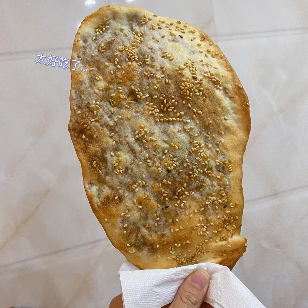榨菜鲜肉锅盔（发面、死面通用）