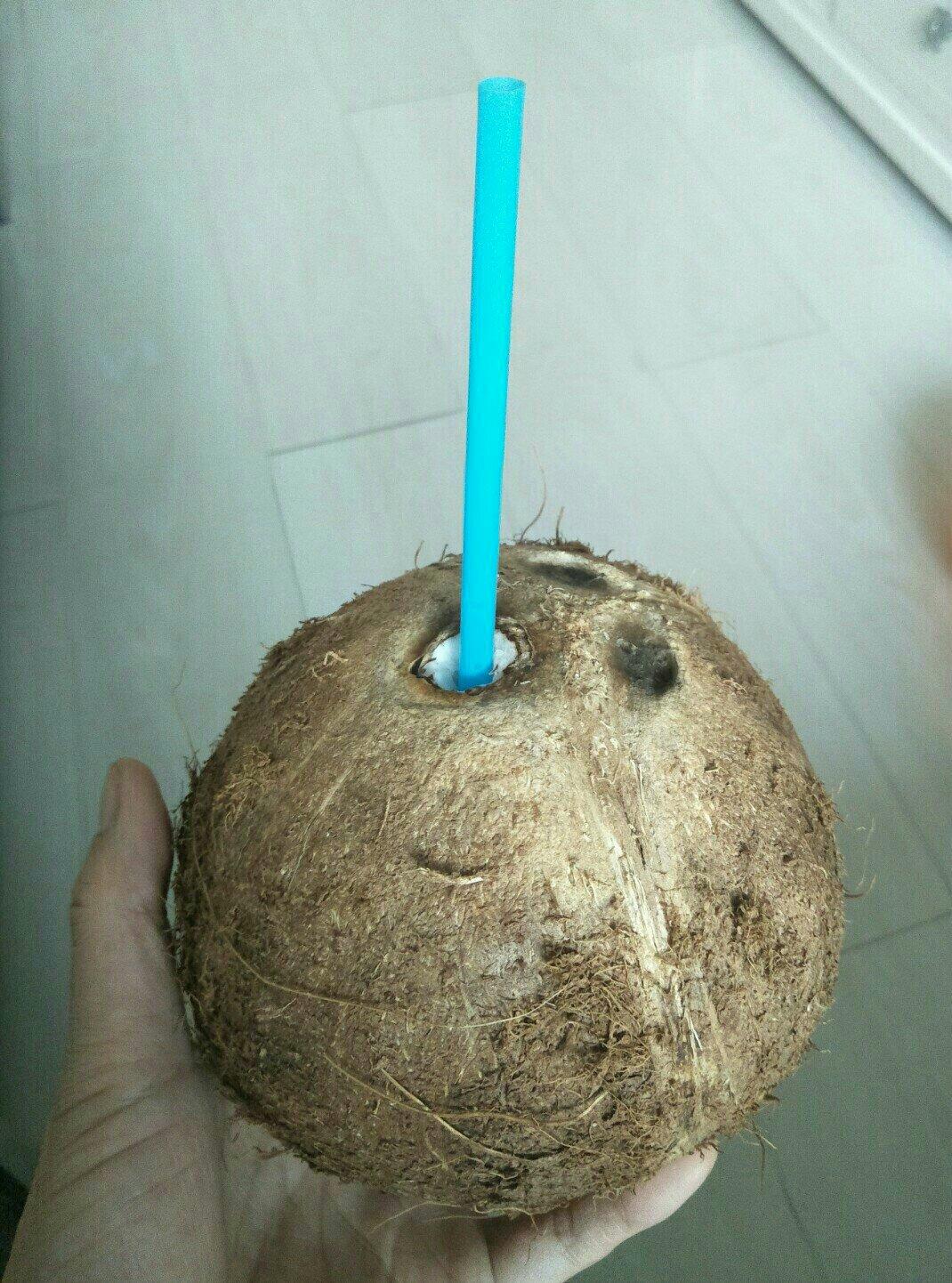 椰子饭