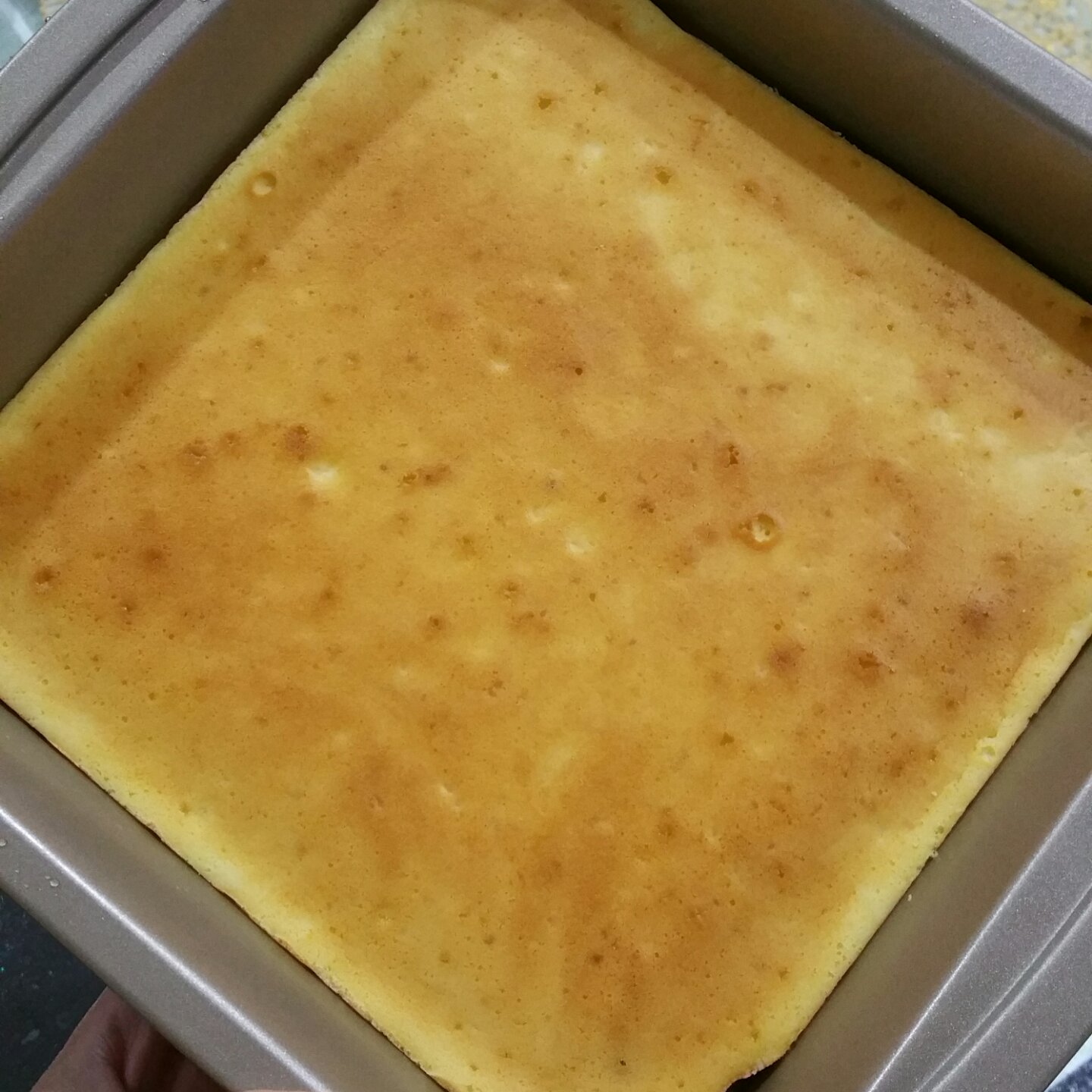 轻乳酪芝士蛋糕6寸#皮黑森林#