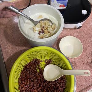❤️红豆花胶牛奶冻的做法 步骤3