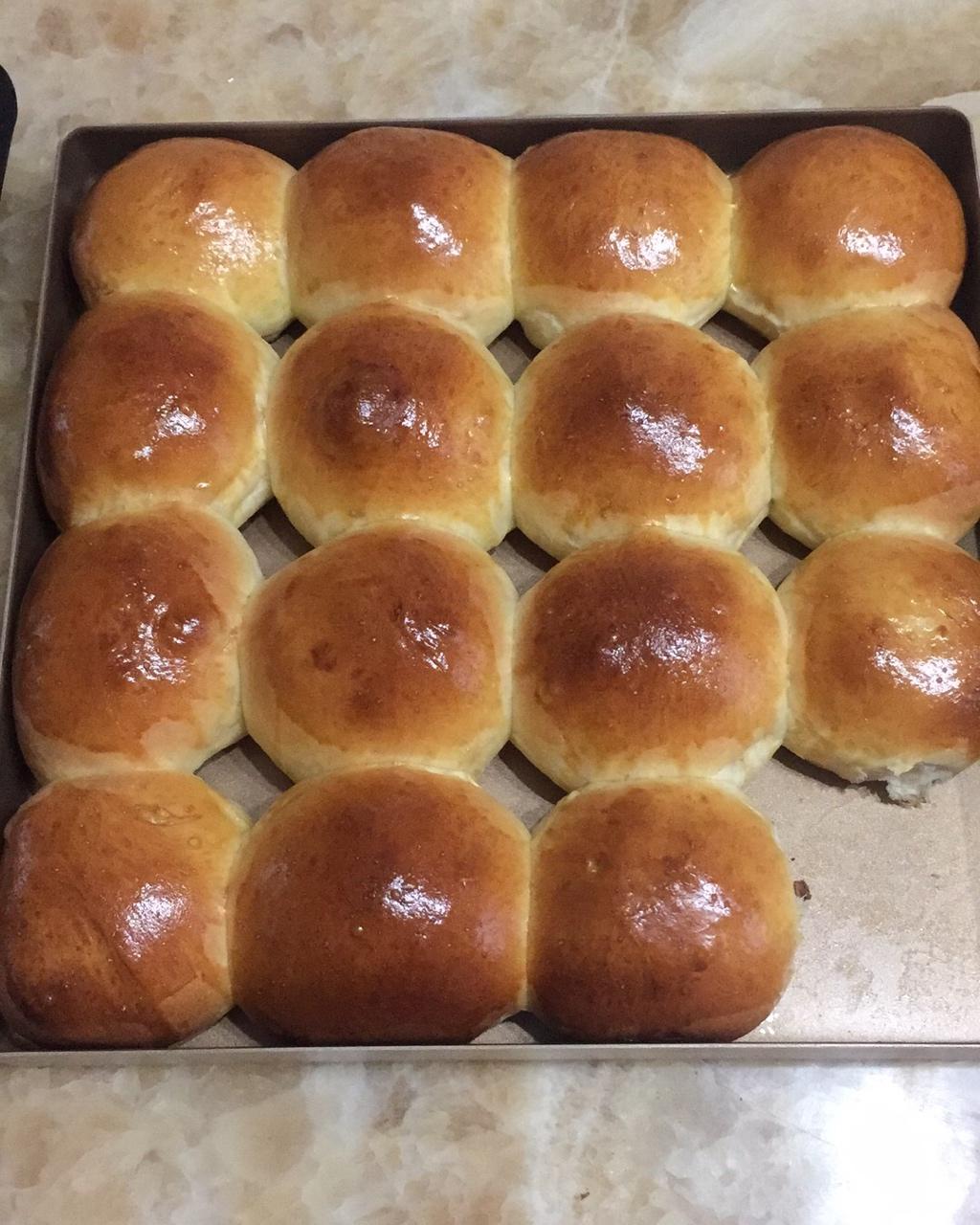 鲜奶油小餐包（一次发酵）