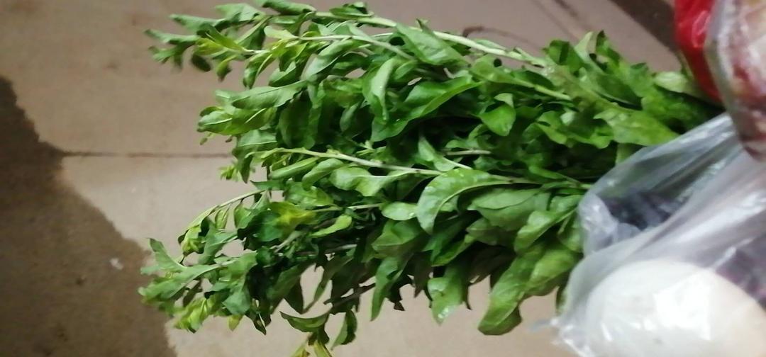 带刺的菜滚汤的做法