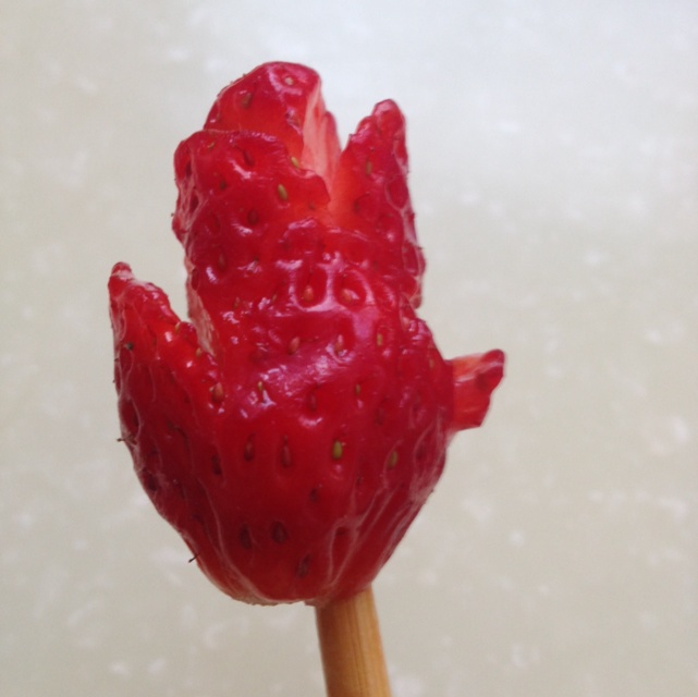 草莓玫瑰花
