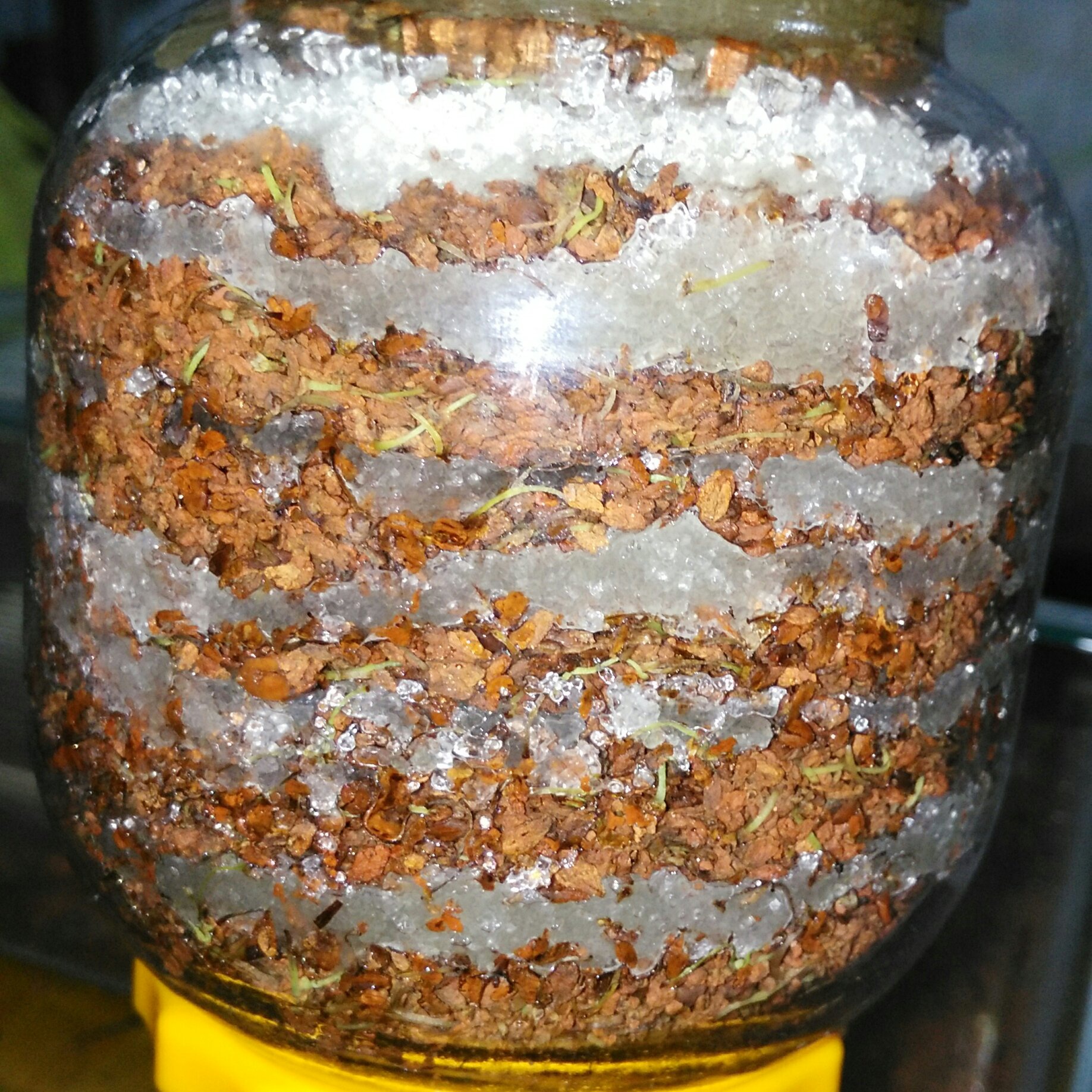 糖桂花酱