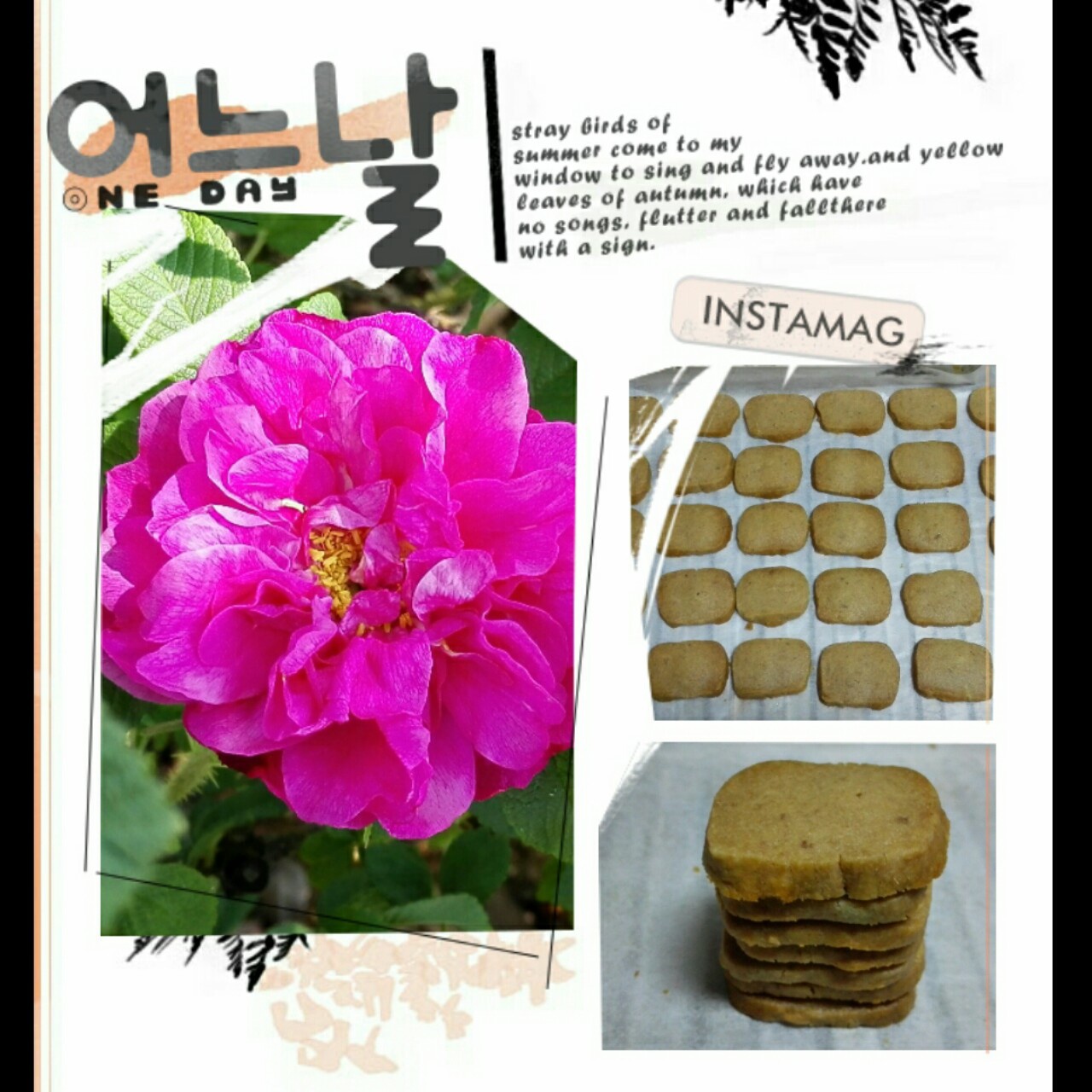 蔓越梅饼干（君之改良版，更酥更省油）