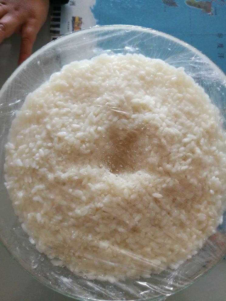 酒酿 (酒酿系列一）