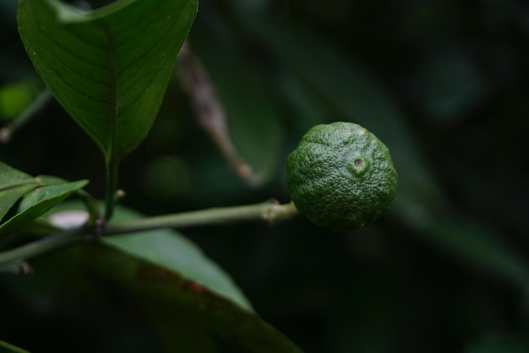 昨天是我珍藏的甜的做法