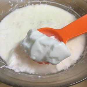 如何发酵稳定浓稠的雪莲菌开菲尔酸奶（嫩豆腐状）的做法 步骤3