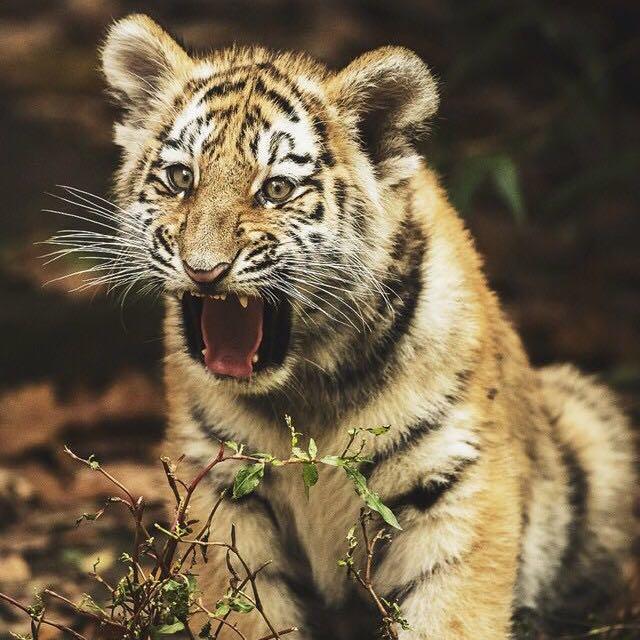 手机用户4007_sr0p